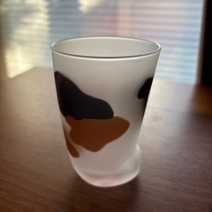 猫ちゃんグラスの画像