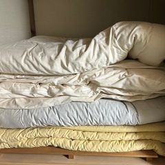 布団　大量にあります（敷布団9枚、掛け布団12枚）の画像