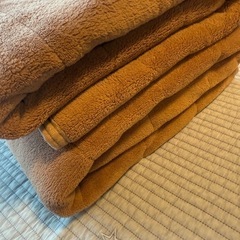 シングル あったか敷きパット　２枚の画像