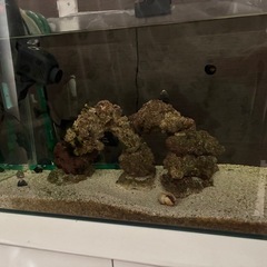 海水水槽一式（60cm＋水槽台）お譲りしますの画像