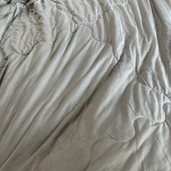 ニトリ 肌布団 セミダブル　NクールWSPの画像