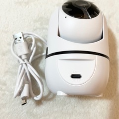新品　ペットカメラ 防犯 通話 人体 動体 検知 常時録画 見守り ベビーモニターの画像