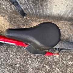 ストライダー　スポーツの画像