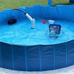 プール　ペットバスも可能の画像