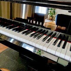 Yamaha AvantGrand ヤマハ アバングランドN1Xの画像