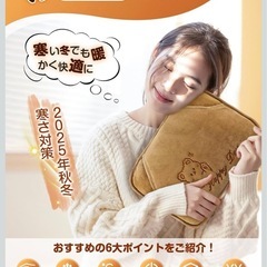 【新品未使用】湯たんぽ 充電式  4~12H長時間保温 冷え対策  防寒の画像