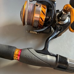 シーバスロッドの画像