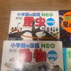 図鑑　4冊の画像