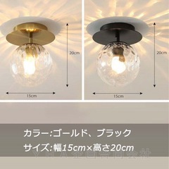 シーリングライトの画像