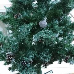 ドウシシャ 松かさ付フロストヌードツリー  180cmの画像