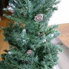 ドウシシャ 松かさ付フロストヌードツリー  180cmの画像