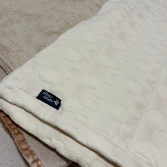 毛布セット
の画像