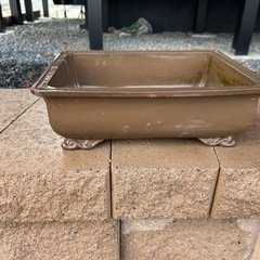 盆栽鉢の画像
