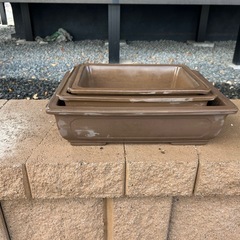 盆栽鉢の画像
