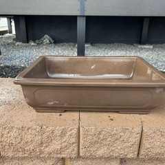 盆栽鉢の画像