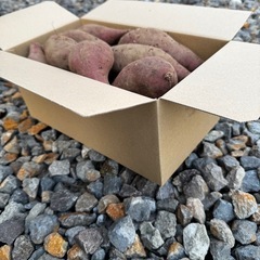 シルクスイート Sサイズの画像