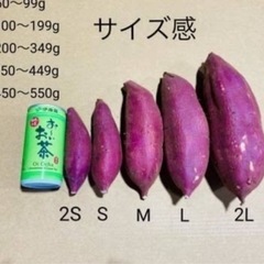 シルクスイート Sサイズの画像