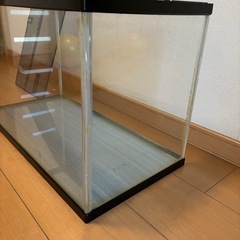 飼育ケージ用水槽　60センチの画像