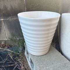 植木鉢、の画像