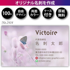 名刺印刷 100枚 両面 フルカラー 紙ケース付 No.2…