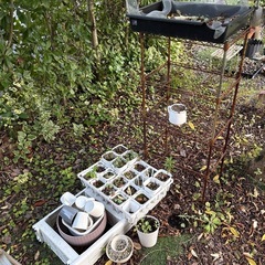 植木鉢など　大量の画像