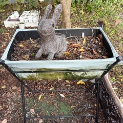 植木鉢など　大量の画像