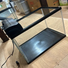 水槽、金魚、爬虫類の画像