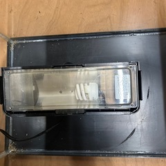 水槽、金魚、爬虫類の画像