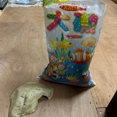 水槽、金魚、熱帯魚、爬虫類の画像