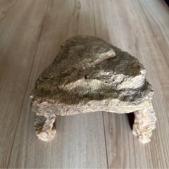 爬虫類 飼育用品の画像
