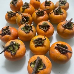 無農薬　渋柿　2.6キロ　17個の画像