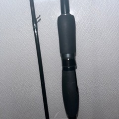 ブリーデンロッド②の画像