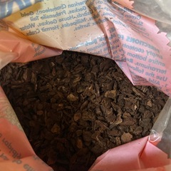 REPTI  BARK  カメレオン、カエル、カメ 等の画像