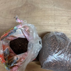 REPTI  BARK  カメレオン、カエル、カメ 等の画像