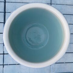 メダカ鉢 金魚鉢 陶器 水鉢 睡蓮鉢/中古品・現状渡し②の画像