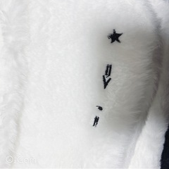 ハチワレ　リュックの画像