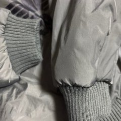 アメリカンジャンパーの画像