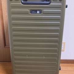 lojel cubo fit ロジェール　キューボ　フィット　L カクタスの画像