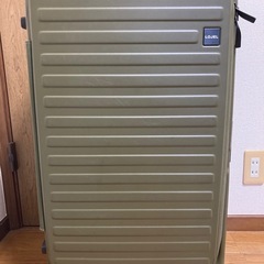 lojel cubo fit ロジェール　キューボ　フィット　L カクタスの画像