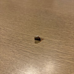 【凹み有り】こたつテーブルの画像