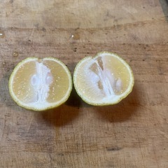 柚子　缶コーヒー等と交換しませんか？の画像