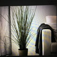 人工植物 グラス 107cmの画像