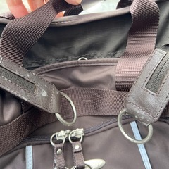 💕スワニー　ウォーキングバッグ/キャリーバッグの画像