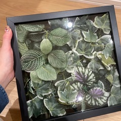 インテリア　造花の画像