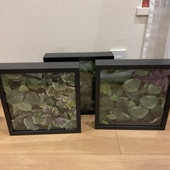 インテリア　造花の画像