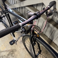 Bianchi camaleonte sportsの画像