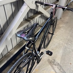 Bianchi camaleonte sportsの画像