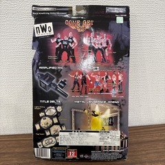 未開封★　nWo ケビン・ナッシュ フィギュアの画像