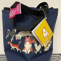 2025年 KALDI お散歩バッグ！の画像