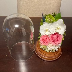 プレザーブドフラワー (中)の画像